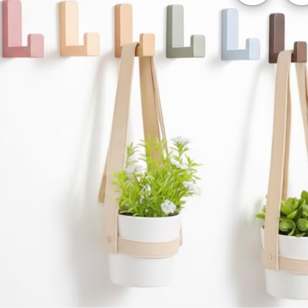 Adorable wooden wall hooks!